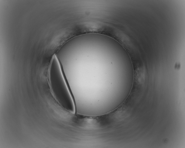 X0000112970509200909031049