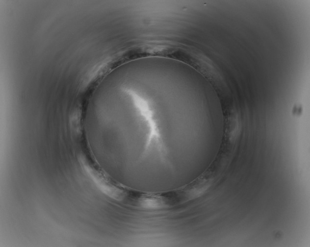 X0000112970510200909031049