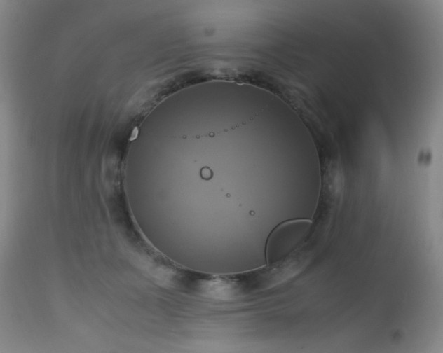 X0000112970511200909031049