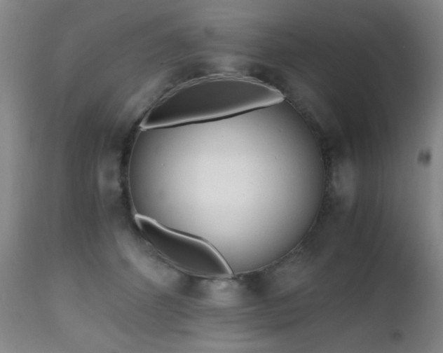 X0000112970512200909031049