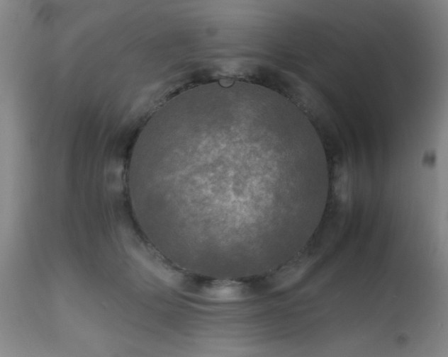 X0000112970514200909031049