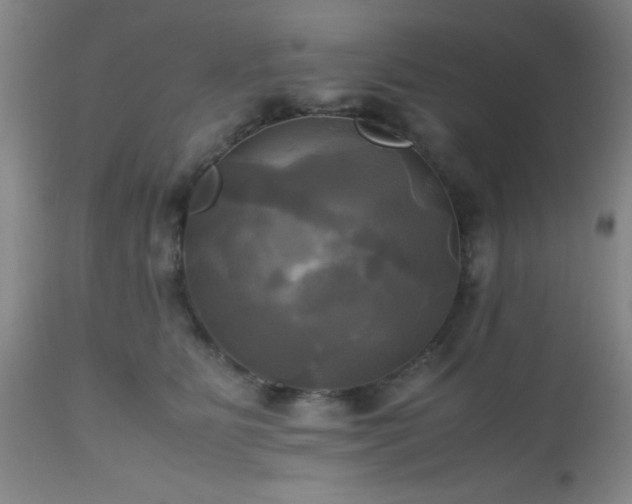 X0000112970515200909031049