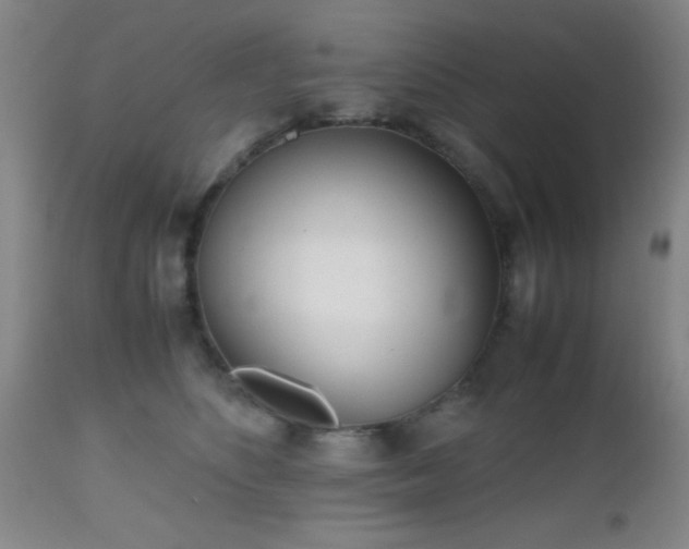 X0000112970516200909031049