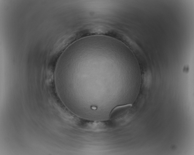 X0000112970517200909031049