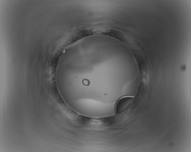 X0000112970519200909031048