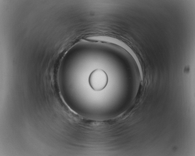 X0000112970520200909031048