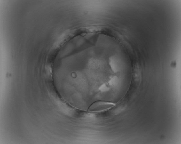 X0000112970523200909031048