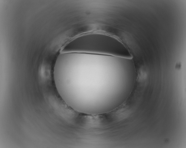 X0000112970524200909031048