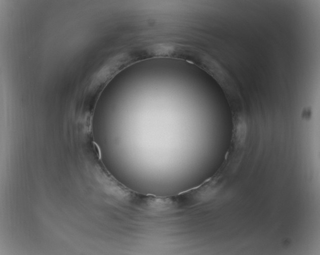 X0000112970525200909031048