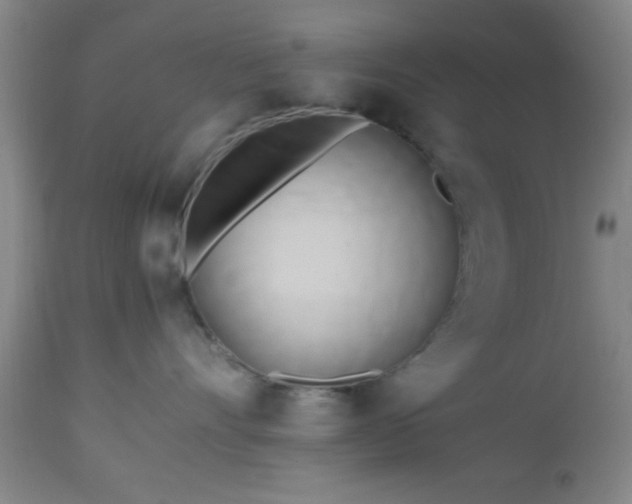 X0000112970528200909031048