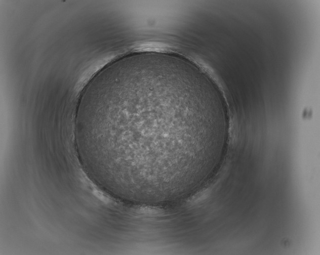 X0000112970529200909031048