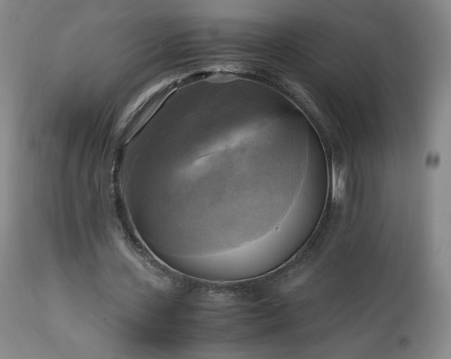 X0000112970531200909031048