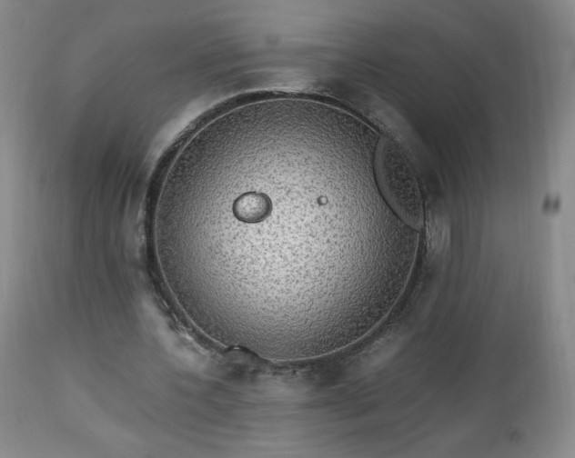 X0000112970532200909031048