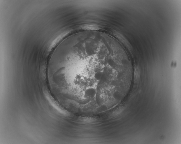 X0000112970533200909031048