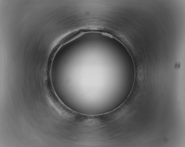 X0000112970536200909031048