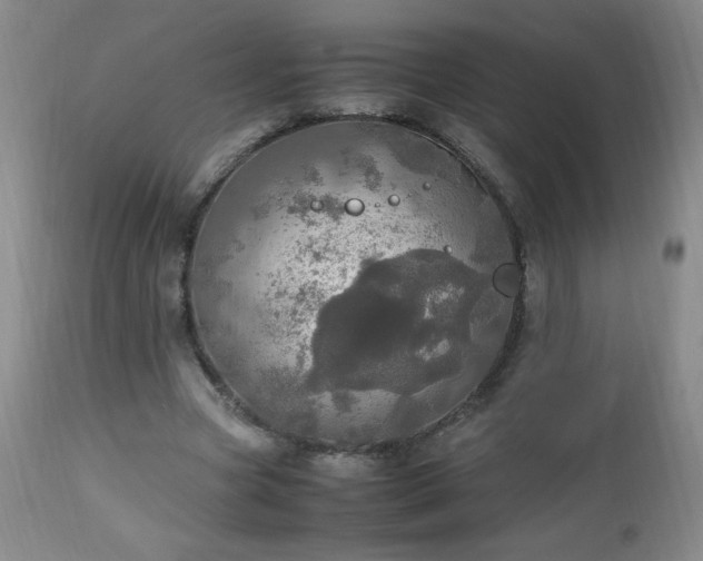 X0000112970537200909031048