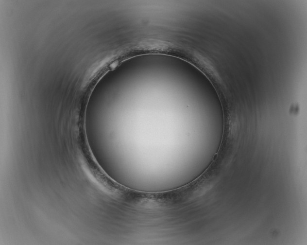 X0000112970538200909031048