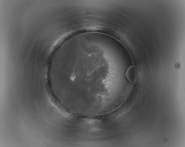 X0000112970539200909031048