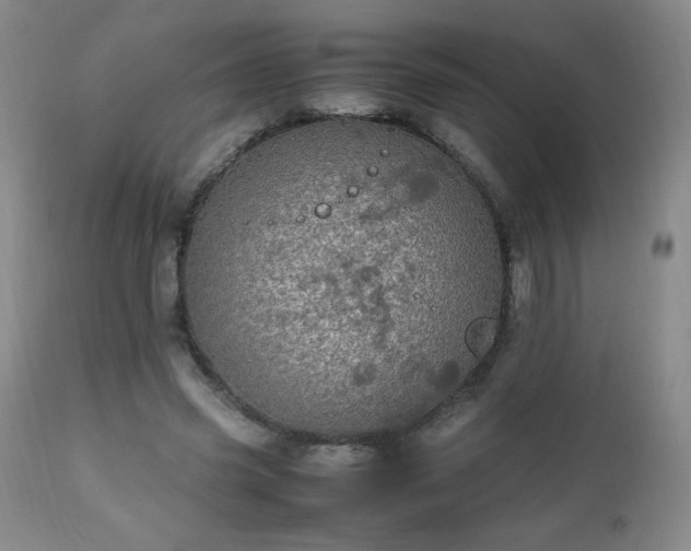 X0000112970541200909031048