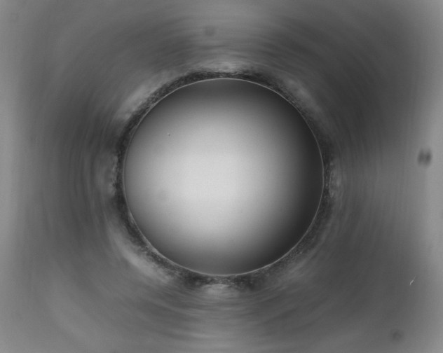 X0000112970544200909031048