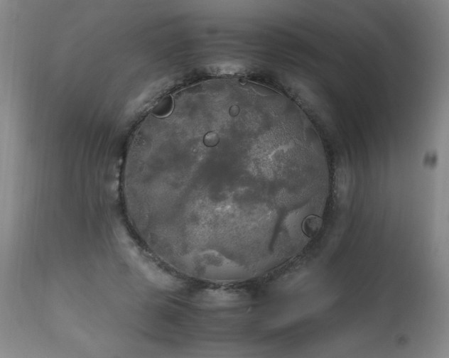 X0000112970545200909031048