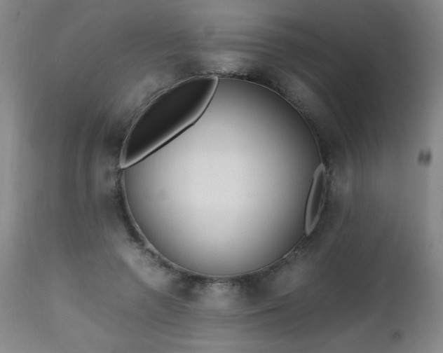 X0000112970546200909031048