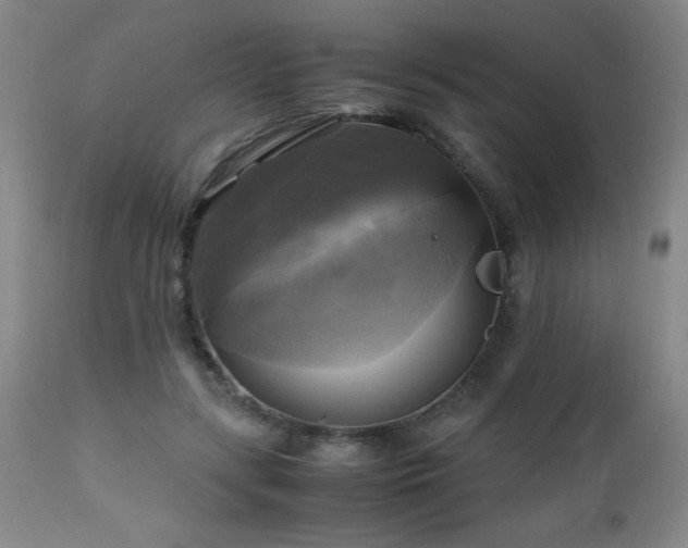 X0000112970547200909031048