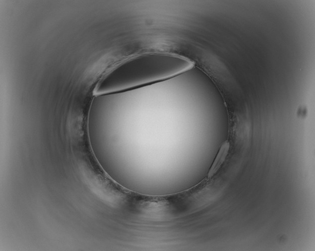 X0000112970548200909031048