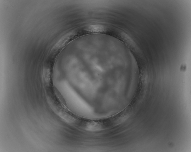 X0000112970549200909031048