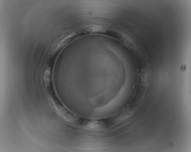 X0000112970550200909031048