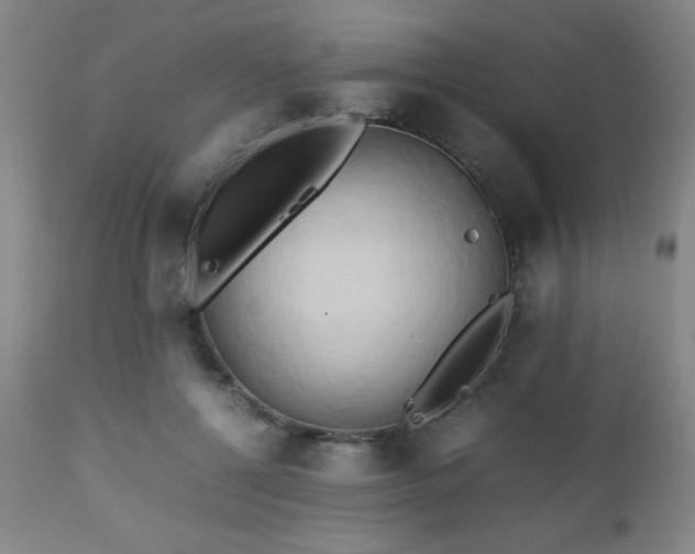 X0000112970552200909031048