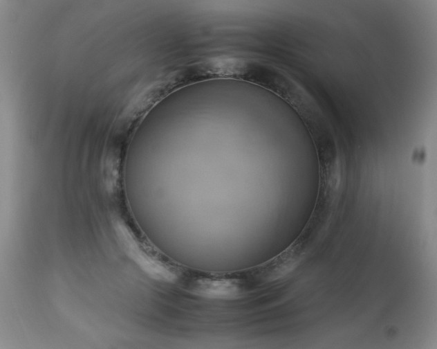 X0000112970553200909031048