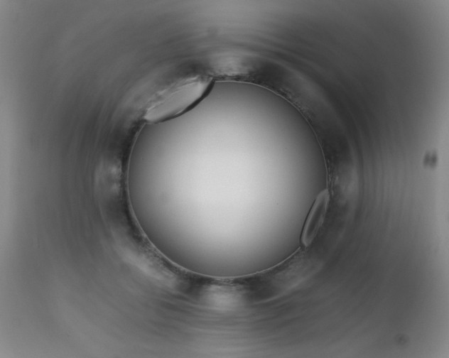 X0000112970556200909031048