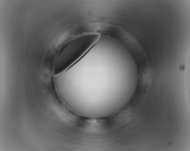 X0000112970558200909031048