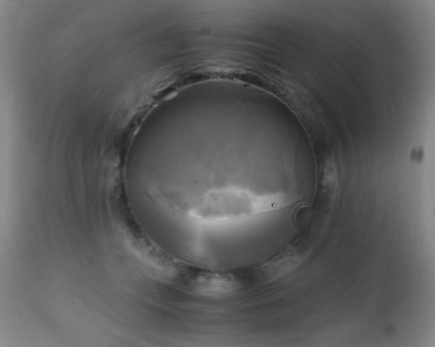 X0000112970559200909031048