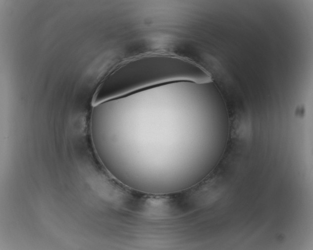 X0000112970560200909031048