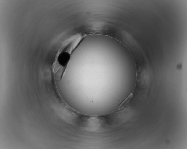 X0000112970562200909031048