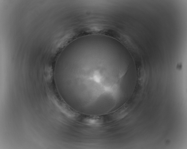 X0000112970563200909031048