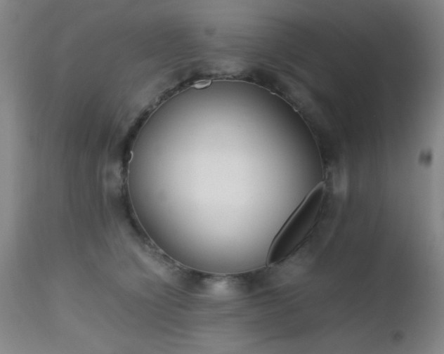 X0000112970564200909031048