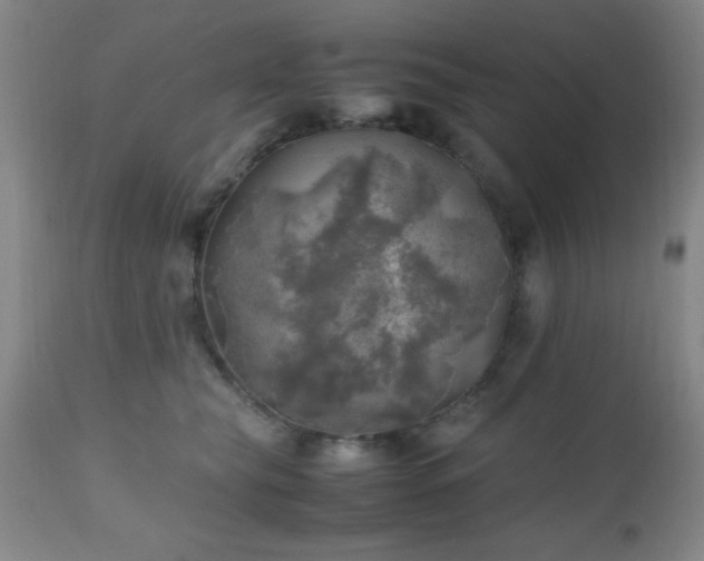 X0000112970565200909031048