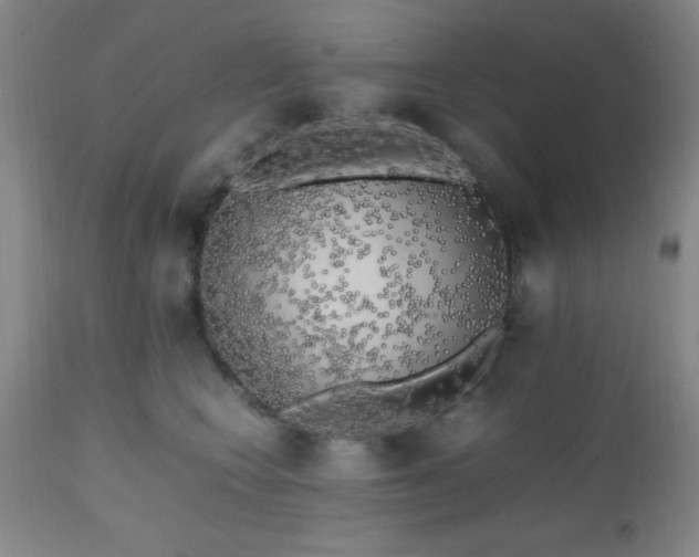X0000112970566200909031048