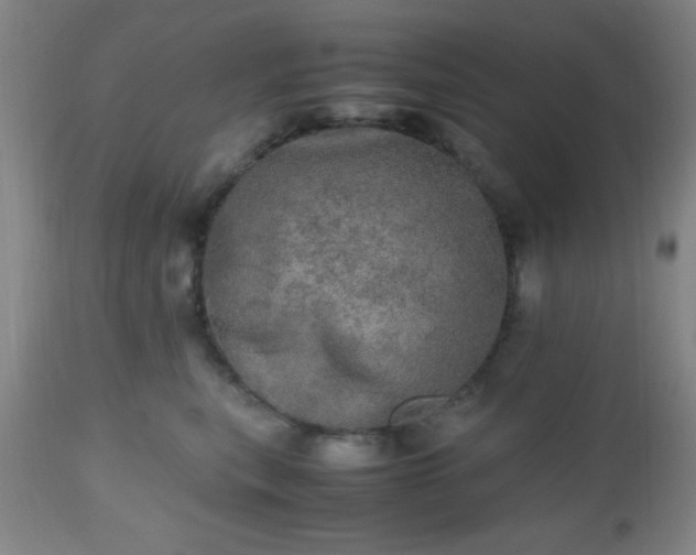 X0000112970567200909031048