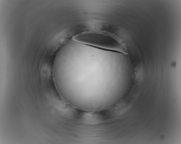 X0000112970568200909031048