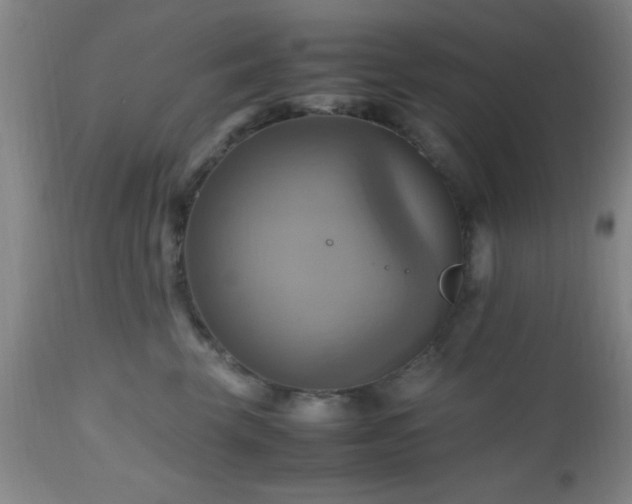 X0000112970569200909031048