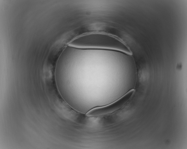 X0000112970570200909031048