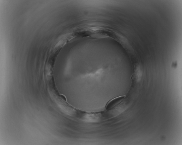 X0000112970571200909031048