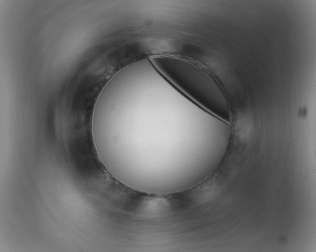 X0000112970572200909031048