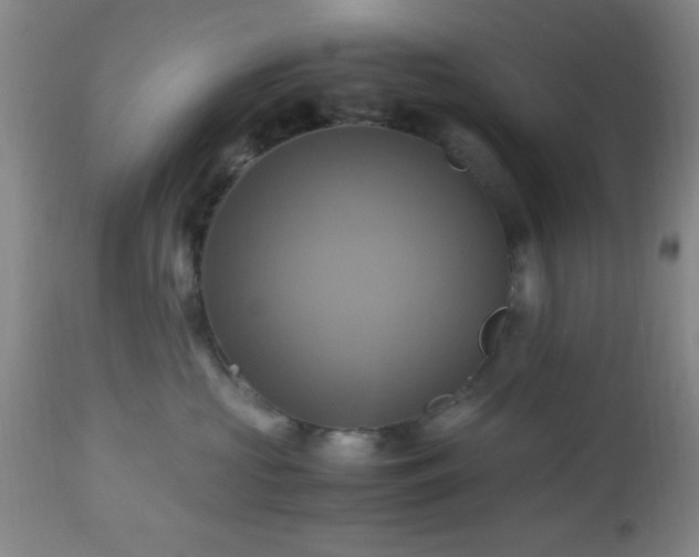 X0000112970573200909031048