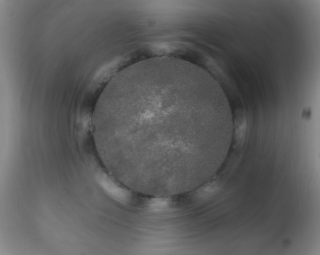 X0000112970574200909031048