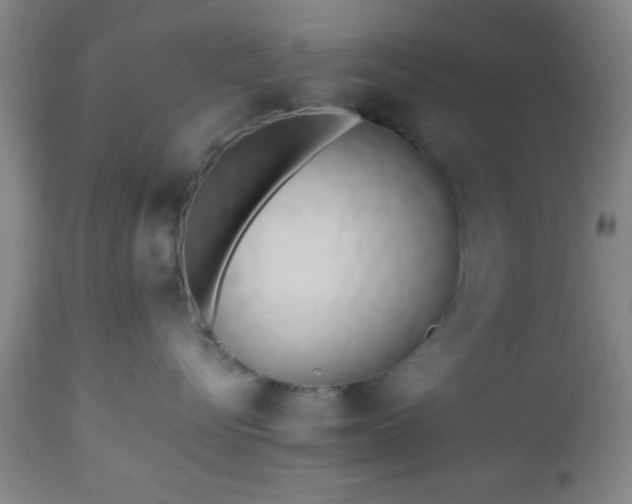 X0000112970576200909031048